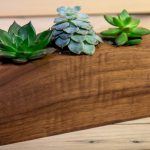 Planter made from a block of walnut for succulent pants