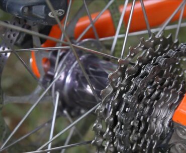 Rear wheel, Chris King hub, Shimano Cassette, Avid Brakes, Orange Santa Cruise Bike