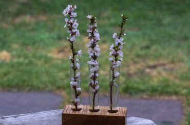 Block of Oak with holes drilled to hold glass test tubes.