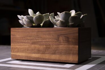 Walnut Planter Box for Succulents
