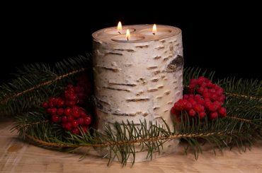 Candle holder made from a birch tree log